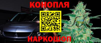МДПВ Лесосибирск
