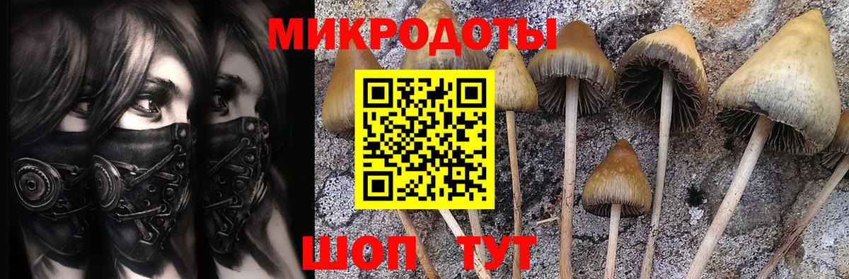 Псилоцибиновые грибы Magic Shrooms Калач-на-Дону