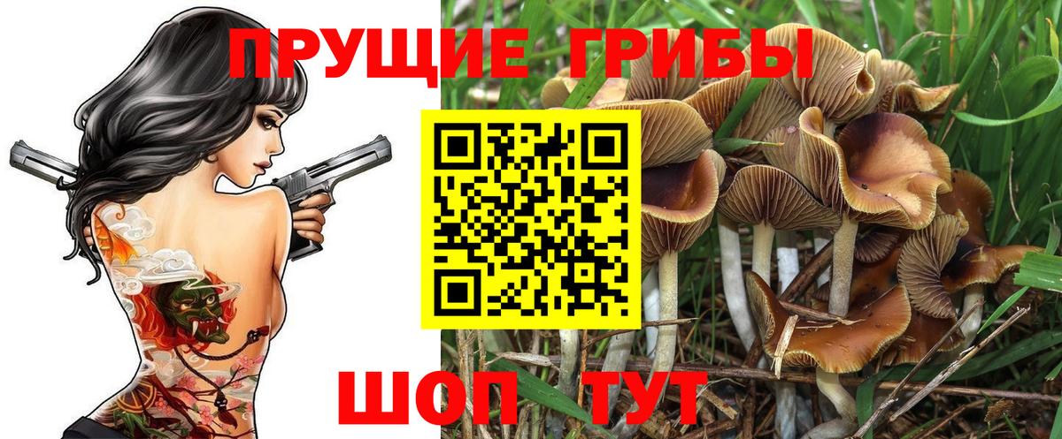 Галлюциногенные грибы мицелий  Вход с VPN  Калач-на-Дону 
